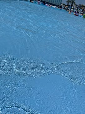 蓮沼ウォーターガーデンに投稿された画像（2023/7/2）