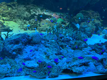 マクセル アクアパーク品川に投稿された画像（2023/7/2）