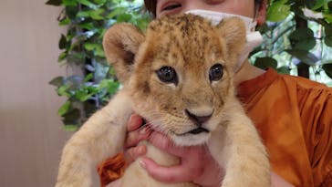 しろとり動物園に投稿された画像（2023/6/30）