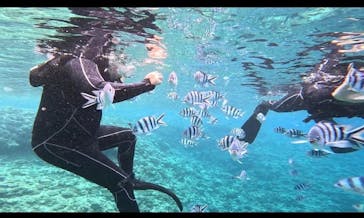 青の洞窟専門店　沖縄ダイビングショップ和に投稿された画像（2023/7/2）
