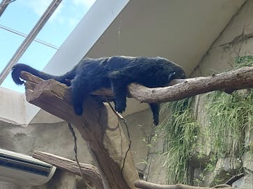 那須どうぶつ王国に投稿された画像（2023/7/2）