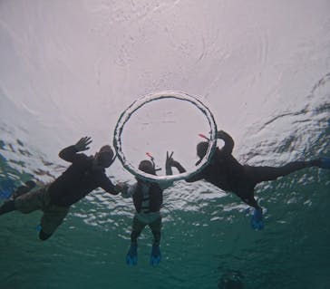 宮古島 ADVENTURE PiPi（ミヤコジマ アドベンチャー ピピ）に投稿された画像（2023/7/2）