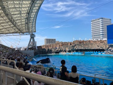 名古屋港水族館に投稿された画像（2023/7/2）