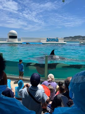 鴨川シーワールドに投稿された画像（2023/7/2）