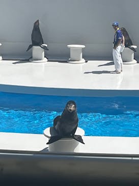 鴨川シーワールドに投稿された画像（2023/7/2）