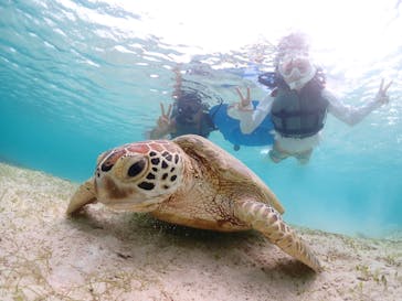 宮古島マリン GB QUESTに投稿された画像（2023/7/2）