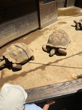 世界淡水魚園水族館　アクア・トトぎふに投稿された画像（2023/7/2）