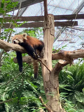 神戸どうぶつ王国に投稿された画像（2023/7/2）