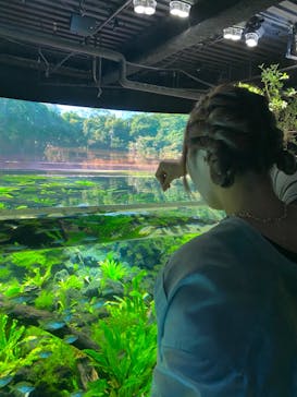 カワスイ 川崎⽔族館に投稿された画像（2023/7/2）