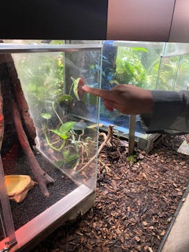 カワスイ 川崎⽔族館に投稿された画像（2023/7/2）