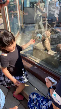 横浜・八景島シーパラダイスに投稿された画像（2023/7/2）