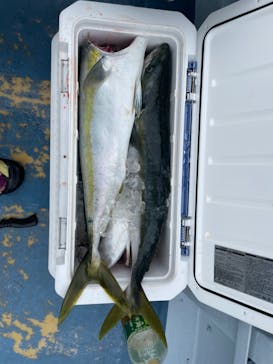 福将丸に投稿された画像（2023/7/2）