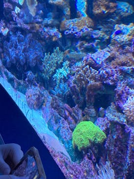 サンシャイン水族館に投稿された画像（2023/7/2）