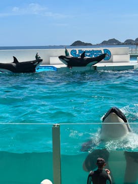 鴨川シーワールドに投稿された画像（2023/7/2）