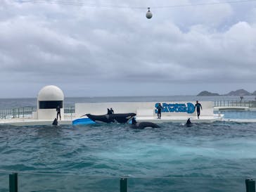 鴨川シーワールドに投稿された画像（2023/7/2）