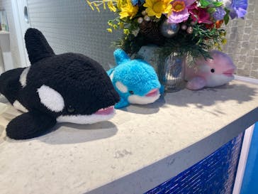 鴨川シーワールドに投稿された画像（2023/7/2）