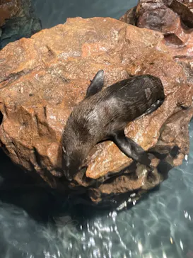すみだ水族館に投稿された画像（2023/7/2）