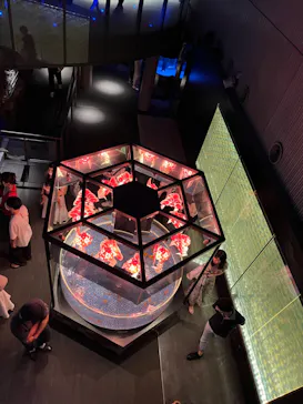 すみだ水族館に投稿された画像（2023/7/2）