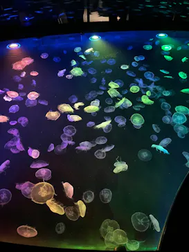 すみだ水族館に投稿された画像（2023/7/2）