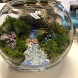 カルチャースクールいろはに投稿された画像（2023/7/2）