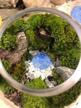 カルチャースクールいろはに投稿された画像（2023/7/2）