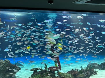 サンシャイン水族館に投稿された画像（2023/7/2）