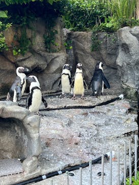 サンシャイン水族館に投稿された画像（2023/7/2）