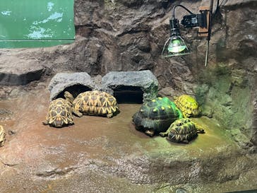 サンシャイン水族館に投稿された画像（2023/7/2）