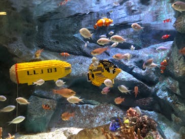 レゴランドⓇ・ジャパン・リゾートに投稿された画像（2023/7/2）