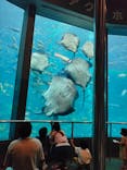 下田海中水族館に投稿された画像（2023/7/2）