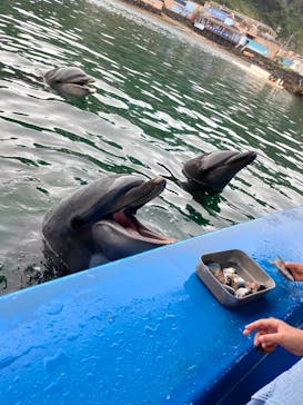 下田海中水族館に投稿された画像（2023/7/2）
