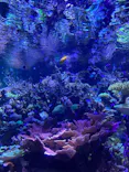 名古屋港水族館に投稿された画像（2023/7/2）