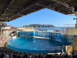 新江ノ島水族館に投稿された画像（2023/7/2）