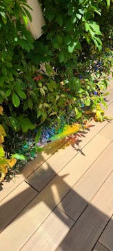 サンシャイン水族館に投稿された画像（2023/7/2）