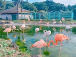 東武動物公園に投稿された画像（2023/7/2）