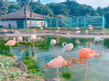 東武動物公園に投稿された画像（2023/7/2）