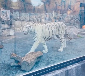 東武動物公園に投稿された画像（2023/7/2）