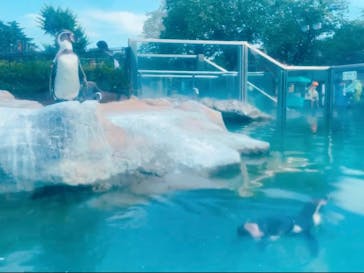 東武動物公園に投稿された画像（2023/7/2）