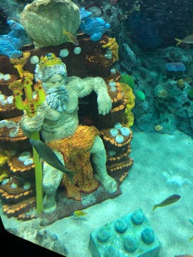 レゴランドⓇ・ジャパン・リゾートに投稿された画像（2023/7/2）