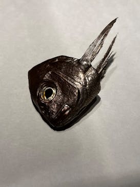 あべのハルカス美術館に投稿された画像（2023/7/2）