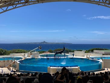 沖縄美ら海水族館に投稿された画像（2023/7/2）