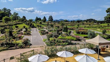 いばらきフラワーパークに投稿された画像（2023/7/2）