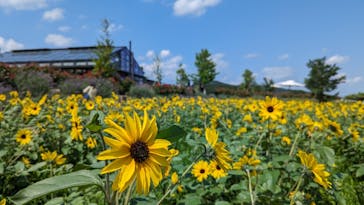 いばらきフラワーパークに投稿された画像（2023/7/2）