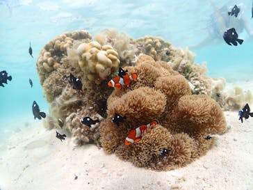 ちゃこたびに投稿された画像（2023/7/2）