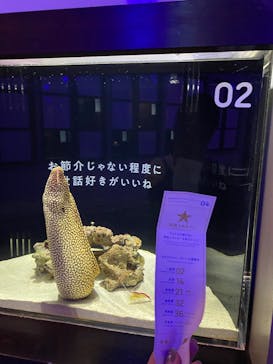 横浜開運水族館 フォーチュンアクアリウムに投稿された画像（2023/7/2）