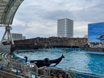 名古屋港水族館に投稿された画像（2023/7/2）