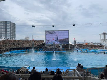 名古屋港水族館に投稿された画像（2023/7/2）