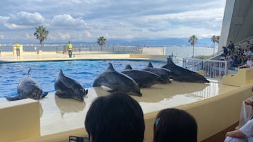 マリンワールド海の中道に投稿された画像（2023/7/2）