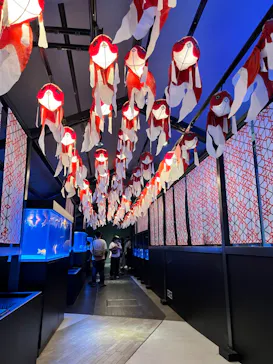 すみだ水族館に投稿された画像（2023/7/2）