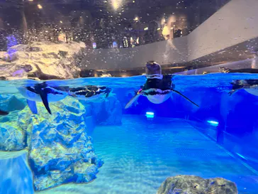 すみだ水族館に投稿された画像（2023/7/2）